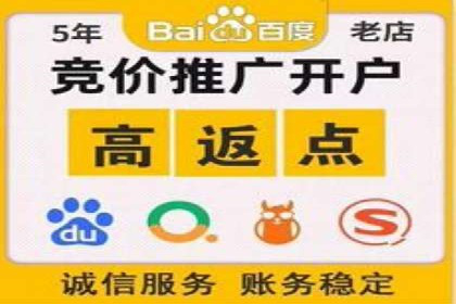 SEM竞价托管代运营助力转化率提升